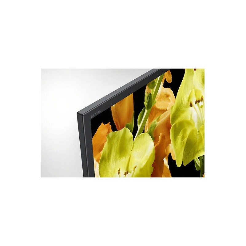 Smart TV Sony 65" LED UHD 4K KD-65XG8196 165cm