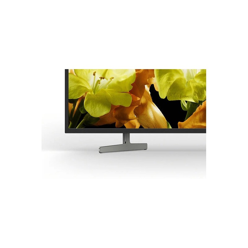 Smart TV Sony 65" LED UHD 4K KD-65XG8196 165cm