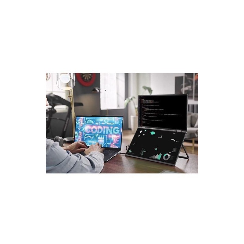 Monitor Portátil Duplo Acer PD163Qbmiuux 15.6" LED IPS FHD