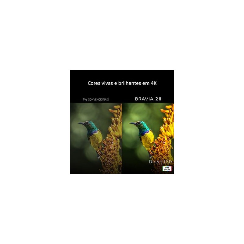 TV SONY BRAVIA 2 II K-55S25M2 (LED - 55'' - 140 cm - 4K Ultra HD - Smart TV)